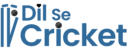 Dil Se Cricket